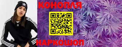 сатива Краснодар