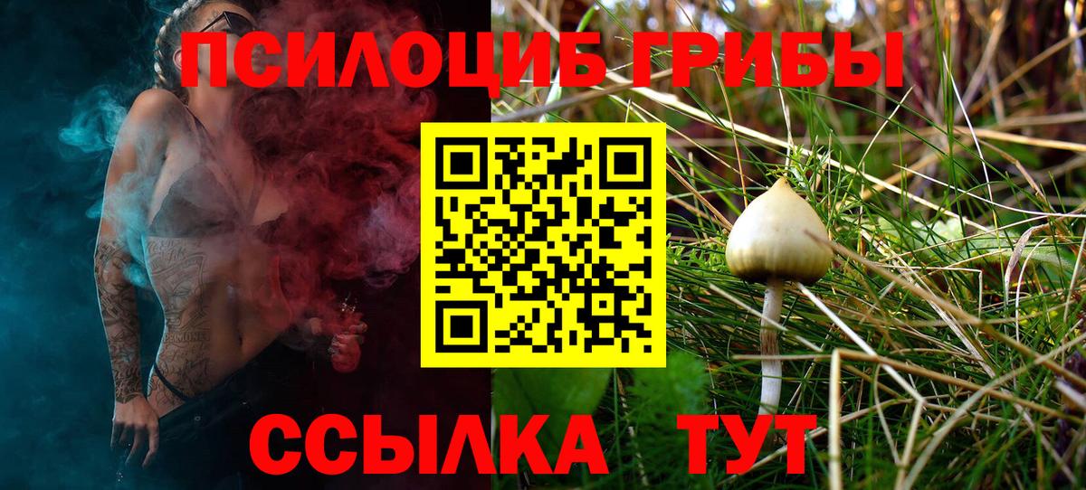 Псилоцибиновые грибы ЛСД  Вход с VPN  Зерноград  Псилоцибиновые грибы GOLDEN TEACHER 