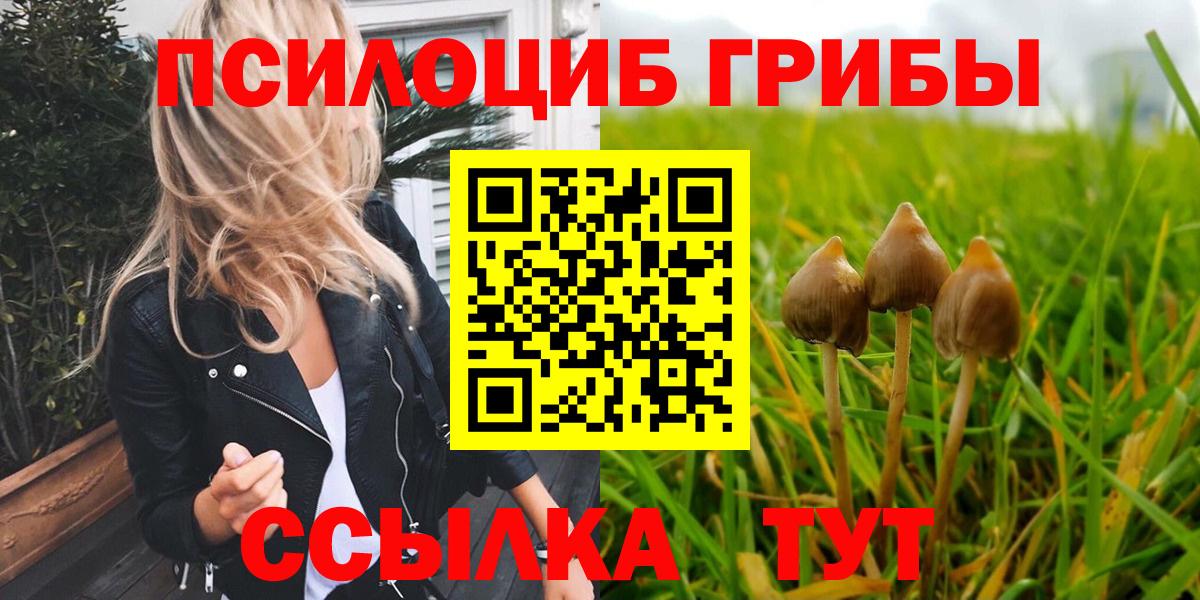 Галлюциногенные грибы мицелий Зерноград